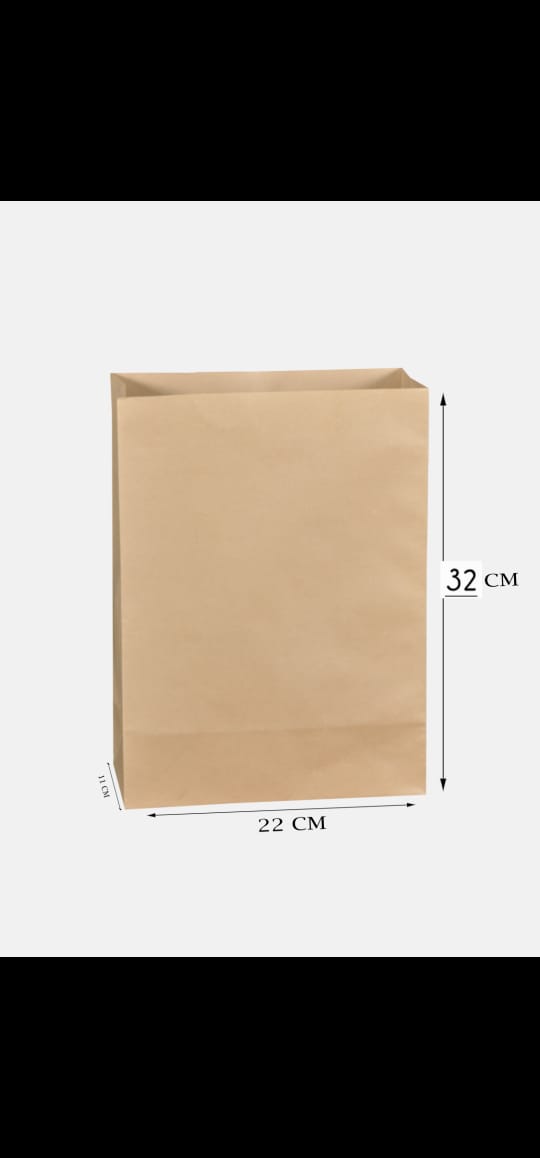 Brown Kraft Bags Without Hands (price for pack of 25)