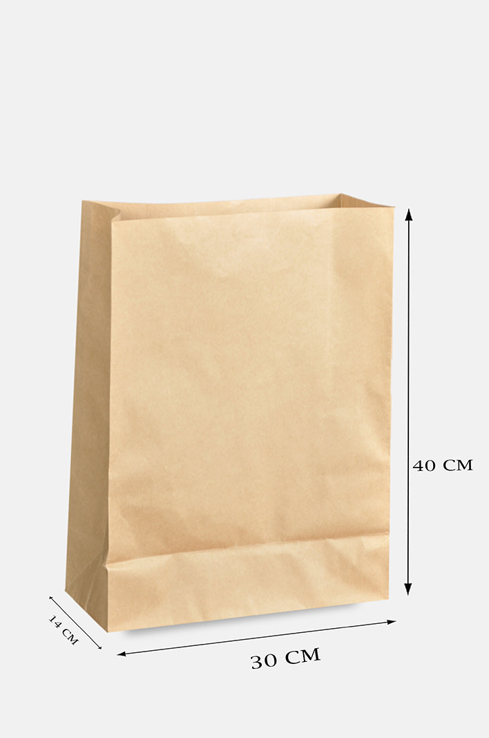 Brown Kraft Bags Without Hands (price for pack of 25)