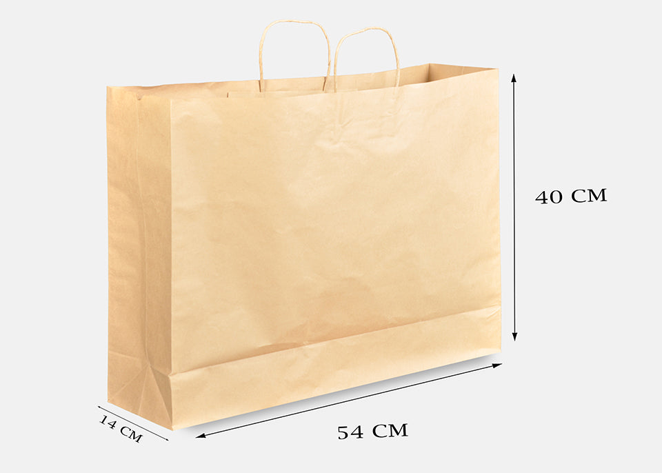 Brown Kraft Bags With Hand (price for pack of 25)