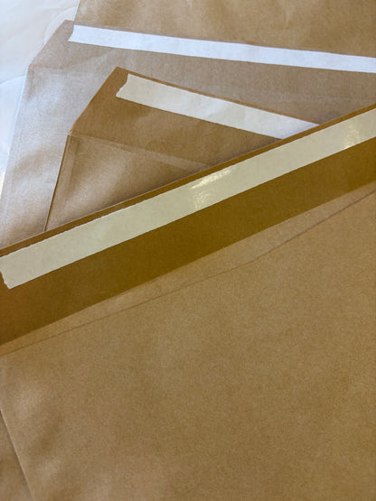 Kraft Paper Envelopes (Pack of 25)