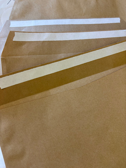 Kraft Paper Envelopes (Pack of 25)