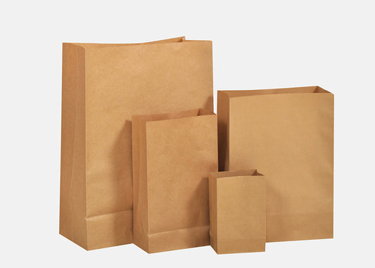 Brown Kraft Bags Without Hands (price for pack of 25)