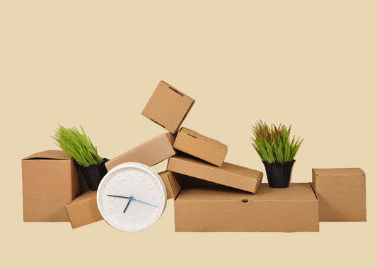 Kraft Boxes (price for 50 boxes)