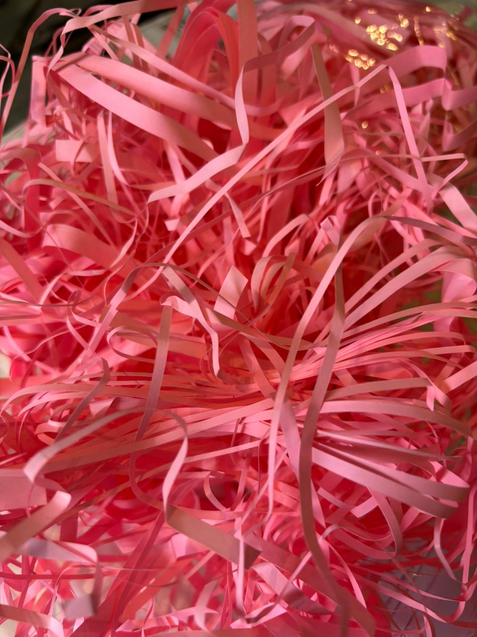 Paper Fillers ( pack of 100 gms)